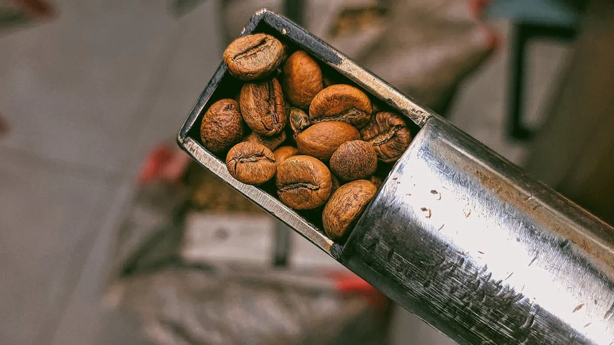 Agricultural Commodities Explained: From Crops to Quality and Trade