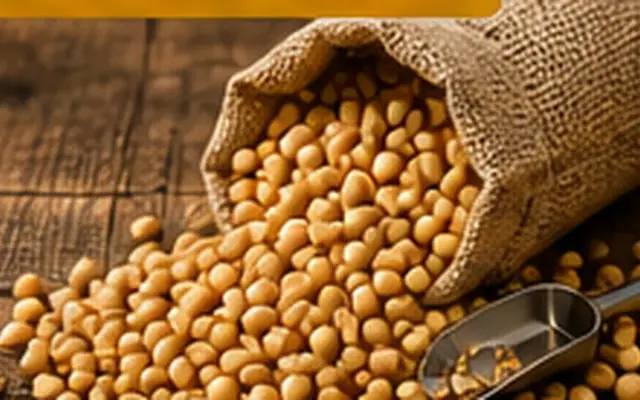 Soybeans Market Outlook 2026: Demand, Quality and Trade Trends